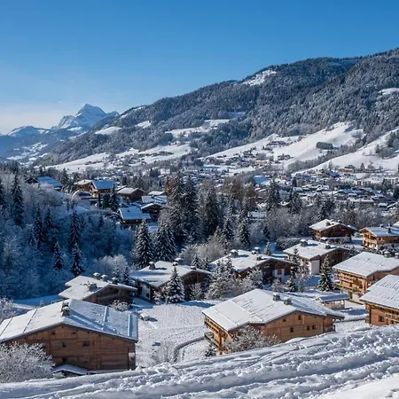 Vvf Mont-blanc