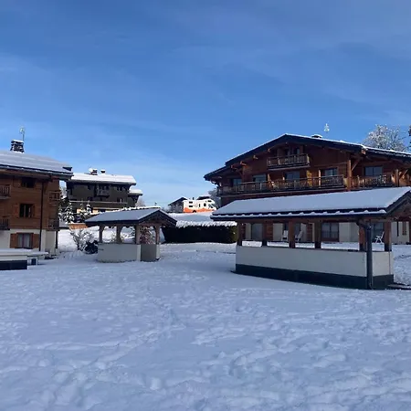 Vvf Mont-blanc *